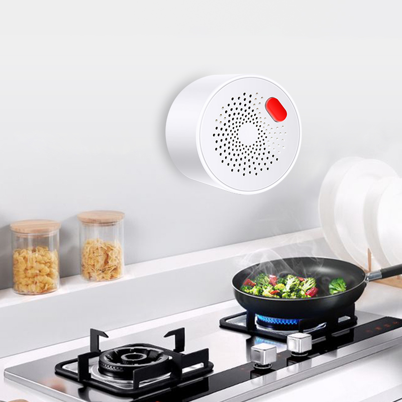 Tuya Smart Home Wifi Natural G - огляд і ціна Home Security Device