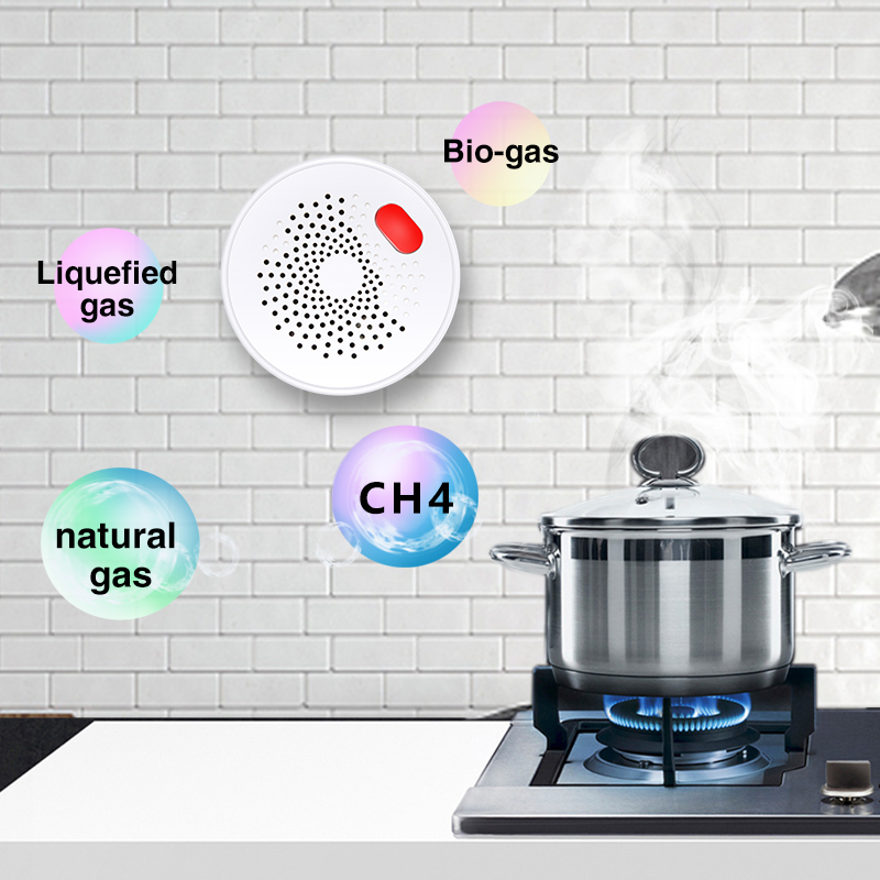 Tuya Smart Home Wifi Natural G - огляд і ціна Home Security Device